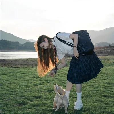 红松鼠